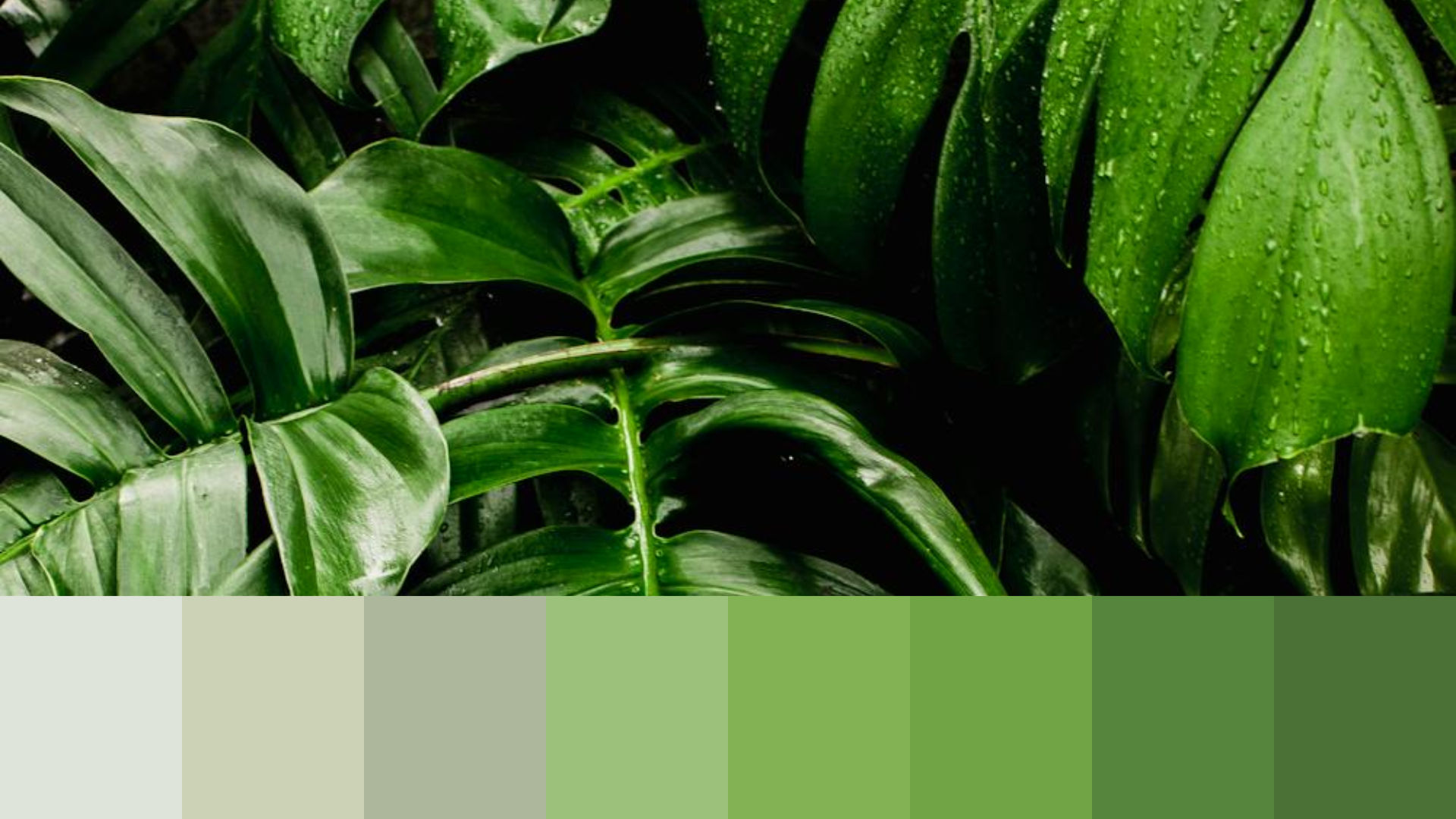 sustainable-color-palette